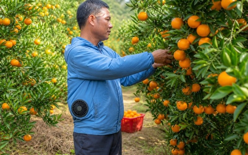 Áo bảo hộ có quạt phù hợp với ngành nông nghiệp, giúp giảm cảm giác bí bách trong môi trường nóng bức