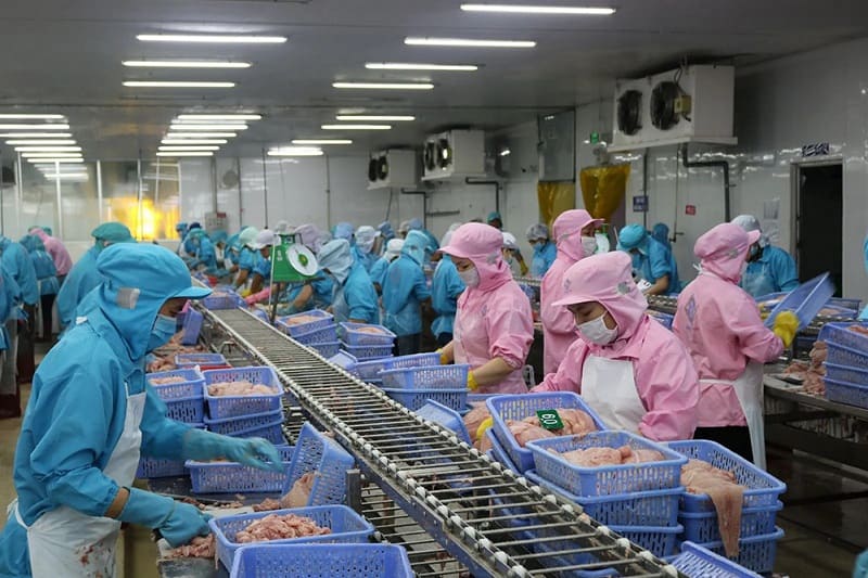 Áo khoác bảo hộ chống thấm rất cần thiết cho công nhân nhà máy chế biến thủy sản